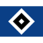 HSV