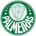 Palmeiras Edges Past Chapecoense-sc in a Tense 1-0 Victory